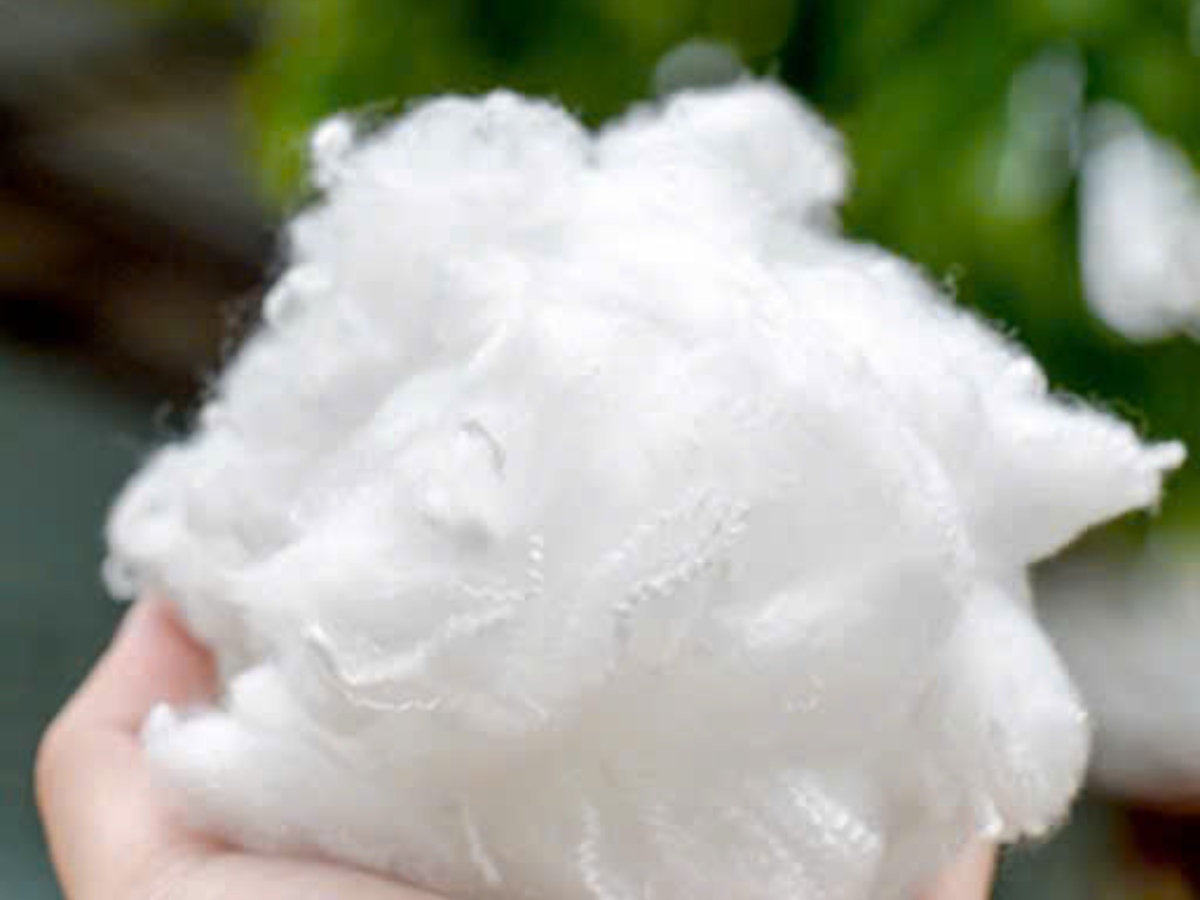 fiber crop